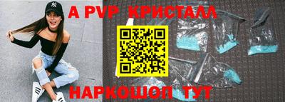 СК Бийск