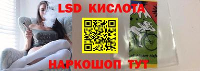 СК Бийск