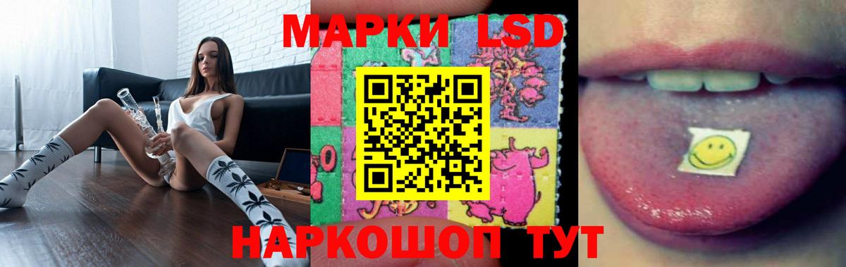 LSD-25 экстази кислота Кингисепп