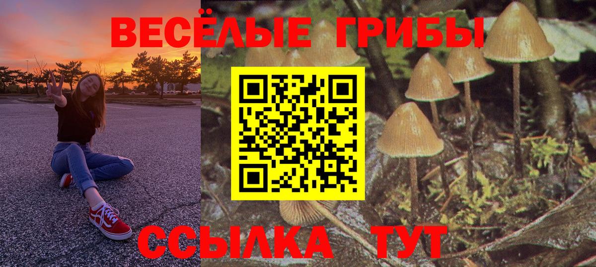 Псилоцибиновые грибы MAGIC MUSHROOMS  Вход с VPN  Кингисепп  Галлюциногенные грибы прущие грибы 